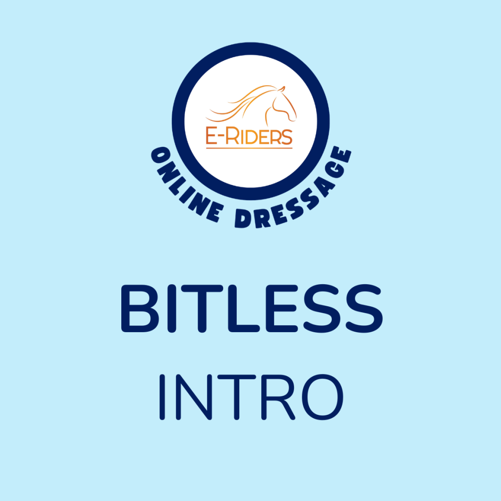 Totally Bitless – Intro 1e – April