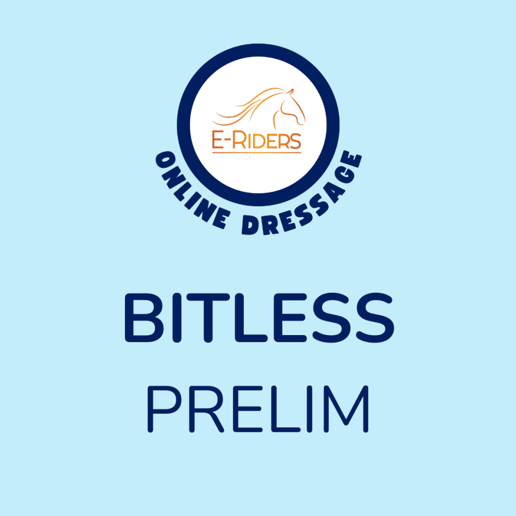Totally Bitless – Prelim 2e – April