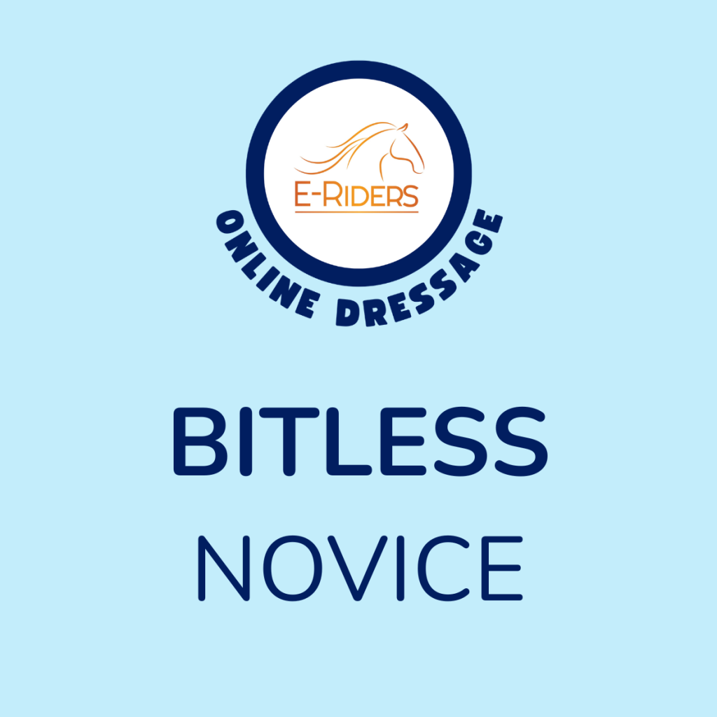 Totally Bitless – Novice 3e – April