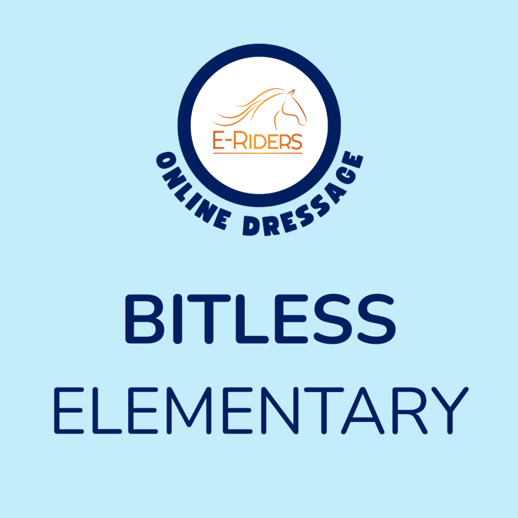 Totally Bitless – Elementary 4f – April