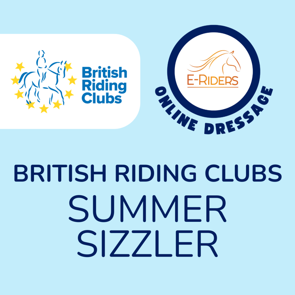 BRC Summer Sizzler – Teams