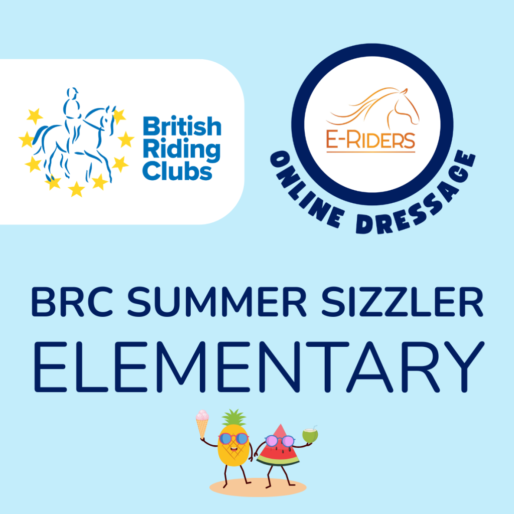 BRC Summer Sizzler – Elementary