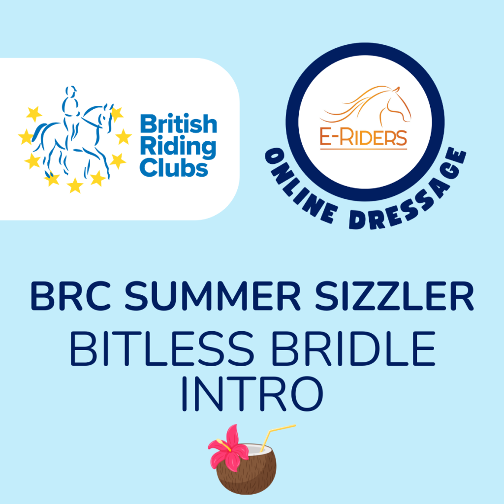 BRC Summer Sizzler – Bitless Bridle – Intro