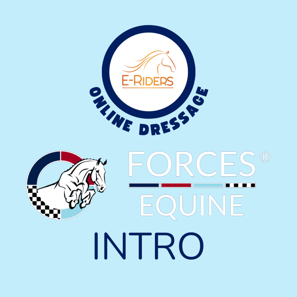 Forces Equine – BD Intro 4 – May